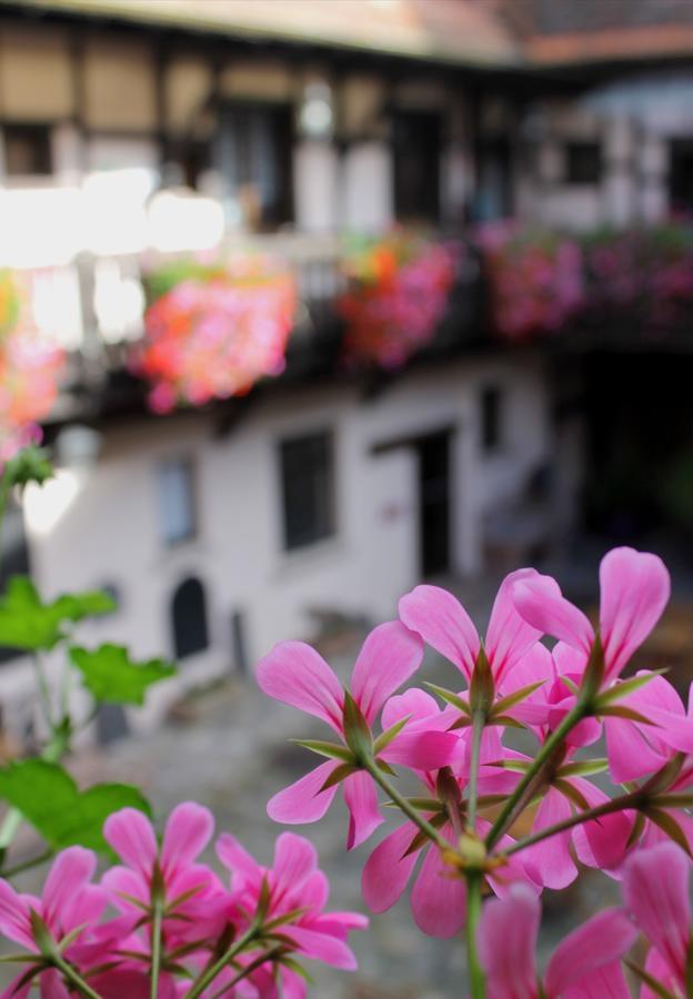 Le Gouverneur Hotel Obernai Ngoại thất bức ảnh